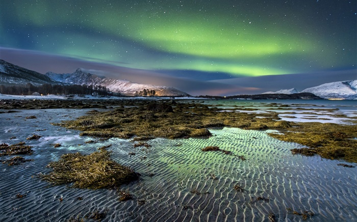 La Norvège, les aurores boréales, la nuit, les étoiles, la mer, sur la côte, l'hiver, la neige Fonds d'écran, image