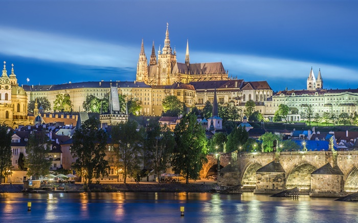 Prague, République tchèque, rivière, pont, cathédrale Saint-Guy, la nuit, les lumières Fonds d'écran, image
