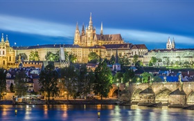 Prague, République tchèque, rivière, pont, cathédrale Saint-Guy, la nuit, les lumières