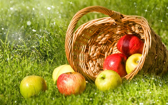 pommes rouges et vertes, fruits, panier, herbe Fonds d'écran, image