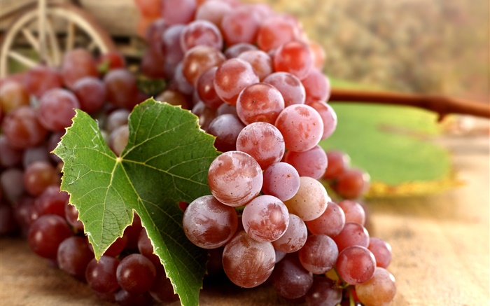 raisins rouges, feuilles, automne Fonds d'écran, image