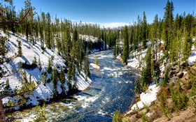 Parc national de Yellowstone, Etats-Unis, forêt, arbres, rivière, neige, hiver
