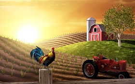 images 3D, ferme, champ, tracteur, coq, maison, soleil HD Fonds d'écran