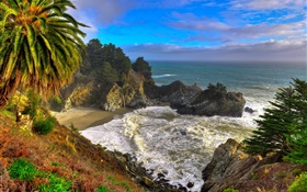 Californie, États-Unis, Palma, côte, mer, arbres HD Fonds d'écran