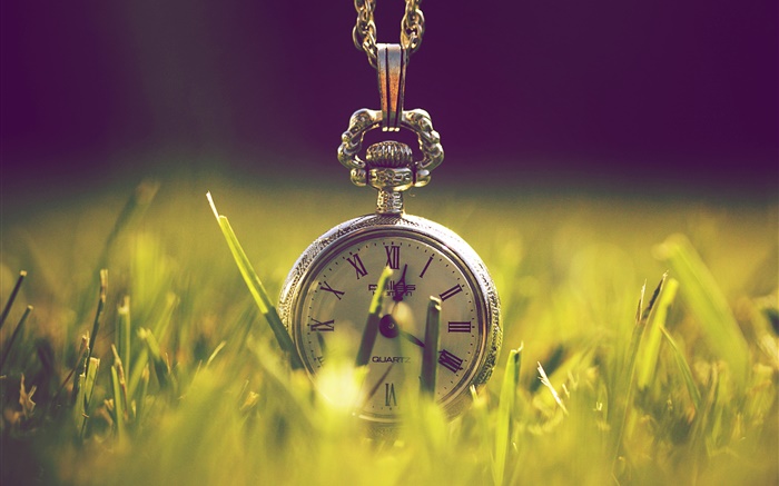 Horloge dans l'herbe, vert, la lumière du soleil Fonds d'écran, image