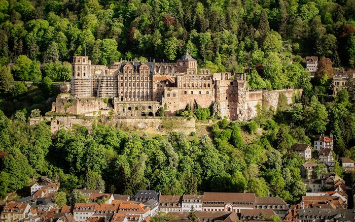 Allemagne, Château de Heidelberg, arbres, maisons Fonds d'écran, image