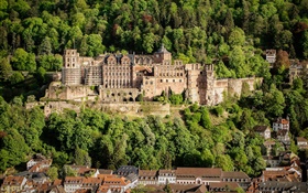 Allemagne, Château de Heidelberg, arbres, maisons