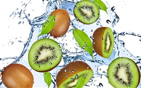 Kiwi, fruits, des gouttes d'eau HD Fonds d'écran