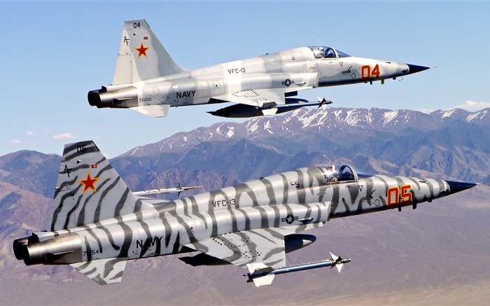 Northrop F-5 combattant de la liberté, Tiger II Fonds d'écran, image