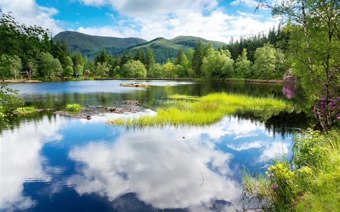 Ecosse, Grande-Bretagne, de la verdure, arbres, montagnes, lac, réflexion de l'eau Fonds d'écran, image