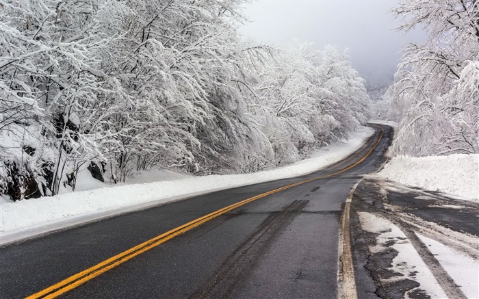 Hiver, neige, route, arbres, blanc Fonds d'écran, image