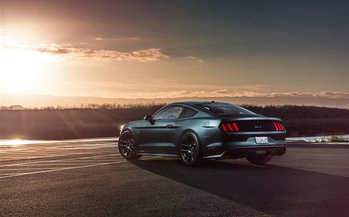 2015 Ford Mustang GT vue arrière de voiture Fonds d'écran, image