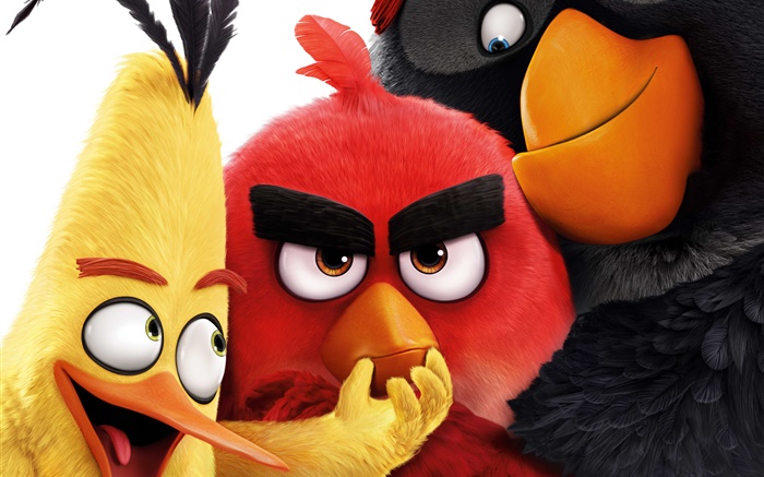 2016 Angry Birds Fonds d'écran, image