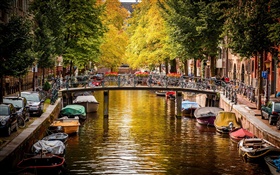 Amsterdam, Pays-Bas, pont, rivière, bateaux, maisons, arbres, automne
