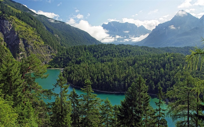 Autriche, Tyrol, montagnes, forêts, arbres, rivière Fonds d'écran, image