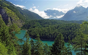 Autriche, Tyrol, montagnes, forêts, arbres, rivière HD Fonds d'écran
