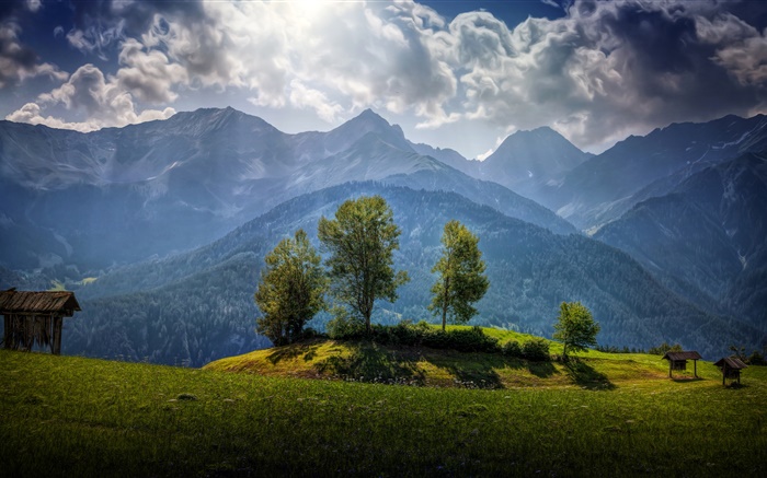Autriche, montagnes, arbres, nuages, herbe Fonds d'écran, image