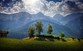 Autriche, montagnes, arbres, nuages, herbe