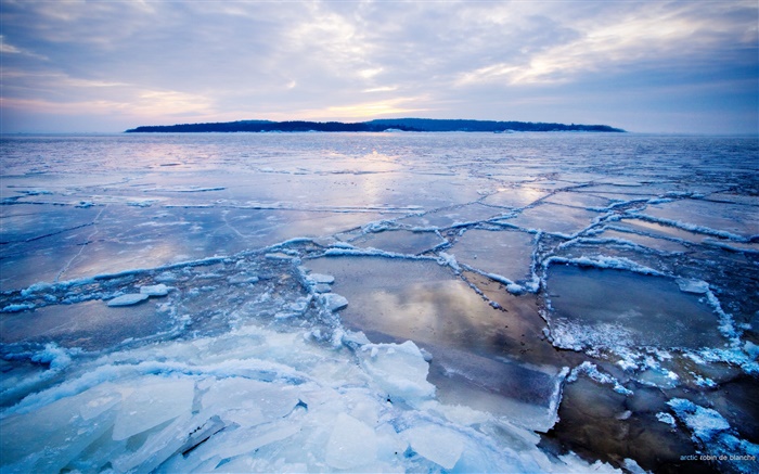 Froid arctique, glace, neige, mer, crépuscule Fonds d'écran, image