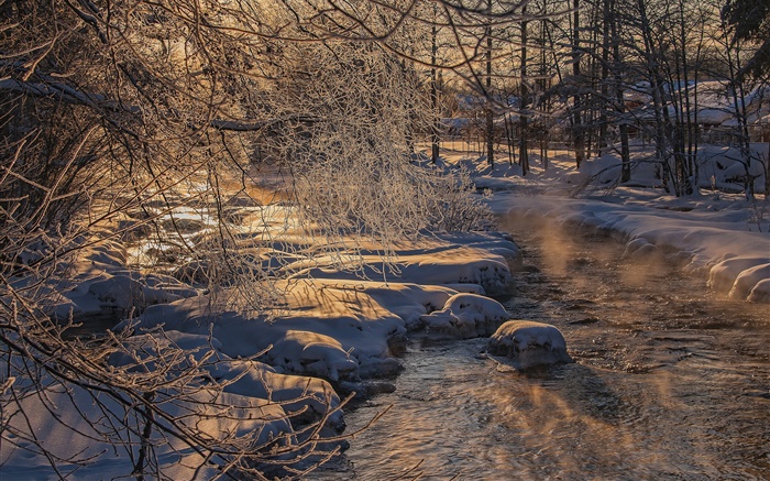 Un hiver froid, arbres, rivière, neige épaisse Fonds d'écran, image