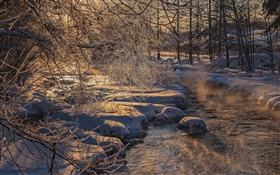 Un hiver froid, arbres, rivière, neige épaisse HD Fonds d'écran
