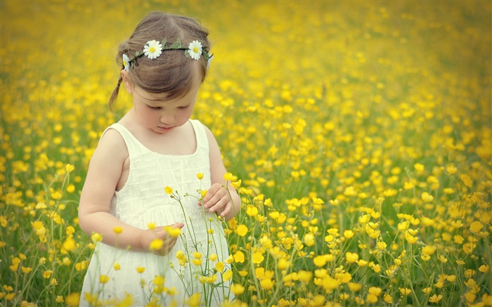Cute girl enfant, champ canola fleur Fonds d'écran, image