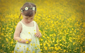 Cute girl enfant, champ canola fleur HD Fonds d'écran