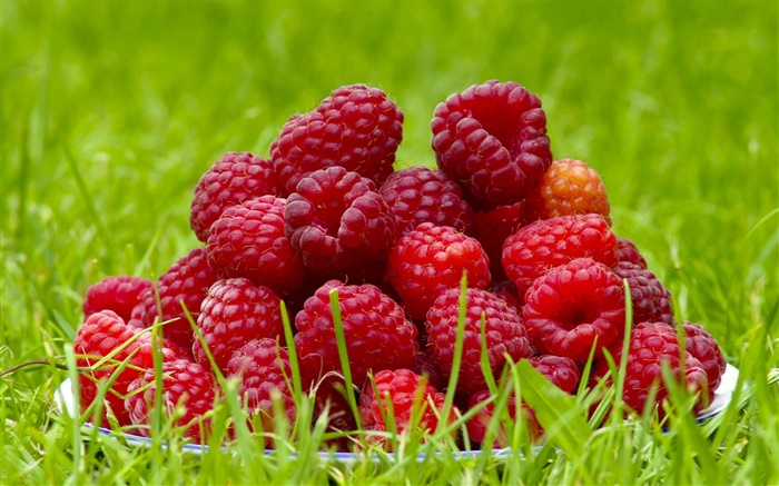framboises fraîches, fruits rouges, herbe, l'été Fonds d'écran, image