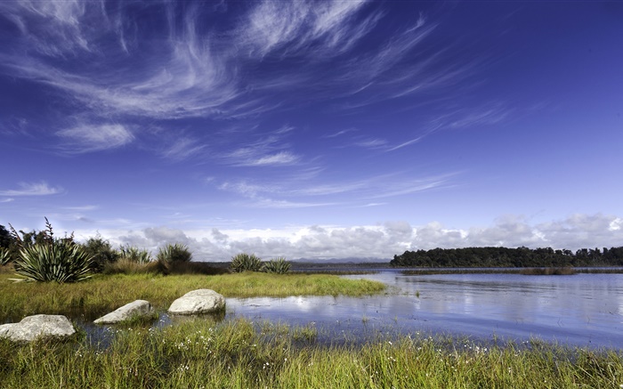Nouvelle-Zélande, lac, rochers, herbe, ciel bleu, nuages Fonds d'écran, image