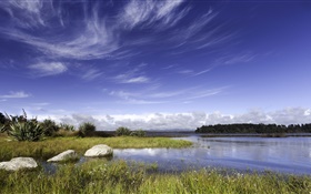 Nouvelle-Zélande, lac, rochers, herbe, ciel bleu, nuages HD Fonds d'écran