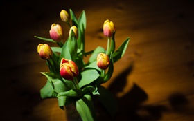 pétales jaunes rouges, fleurs, tulipes