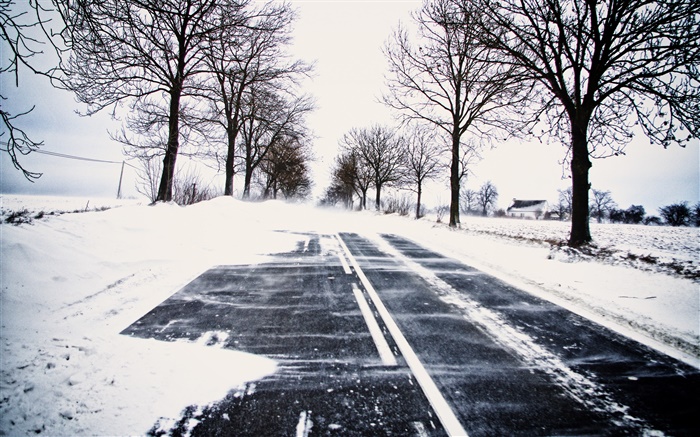 Neige, hiver, route, arbres, lignes électriques, maison Fonds d'écran, image