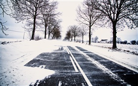 Neige, hiver, route, arbres, lignes électriques, maison HD Fonds d'écran