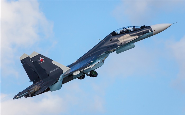 Su-30CM polyvalent chasseur Fonds d'écran, image