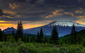 États-Unis, Californie, montagnes, arbres, nuages, crépuscule HD Fonds d'écran