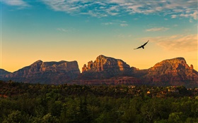 États-Unis, Arizona, montagnes, coucher de soleil, les oiseaux qui volent, village, crépuscule