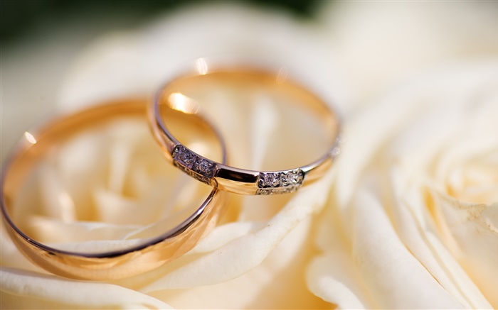 Les anneaux de mariage, pétales de rose Fonds d'écran, image