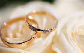 Les anneaux de mariage, pétales de rose HD Fonds d'écran