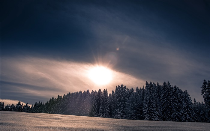 Hiver, neige, forêt, arbres, coucher de soleil Fonds d'écran, image