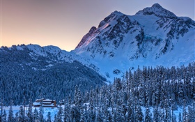 Hiver, neige, montagne, arbres, crépuscule HD Fonds d'écran