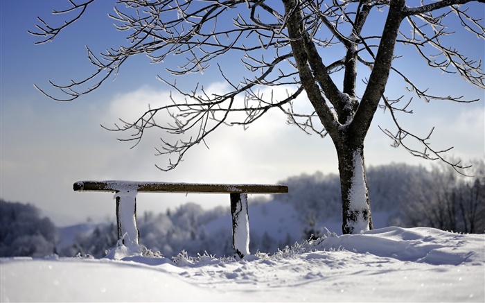 Hiver, neige, arbre, banc Fonds d'écran, image