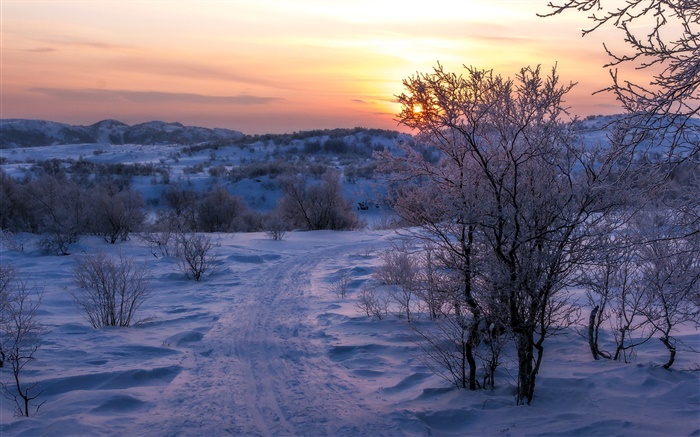 Hiver, neige, arbres, coucher de soleil, route Fonds d'écran, image