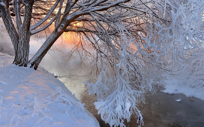 Hiver, neige épaisse, arbre, brindilles, rivière, coucher de soleil Fonds d'écran, image