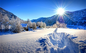 Hiver, neige épaisse, arbres, maison, soleil