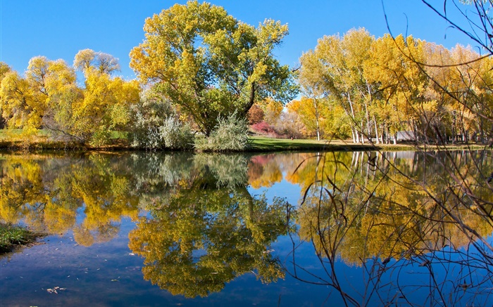 Automne, étang, lac, parc, arbres, réflexion de l'eau Fonds d'écran, image