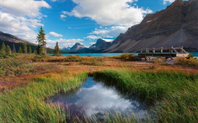 Parc national Banff, Alberta, Canada, lac, montagnes, herbe, nuages
