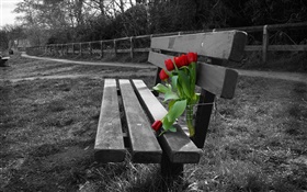 Photo noir et blanc, banc, fleurs de tulipes rouges