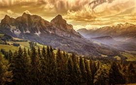 Nuages, ciel, montagne, forêt, arbres, crépuscule HD Fonds d'écran