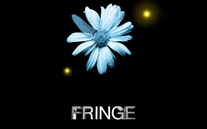 Fringe, fleur, gouttes d'eau, aile de libellule, créatif Fonds d'écran, image