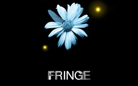 Fringe, fleur, gouttes d'eau, aile de libellule, créatif HD Fonds d'écran